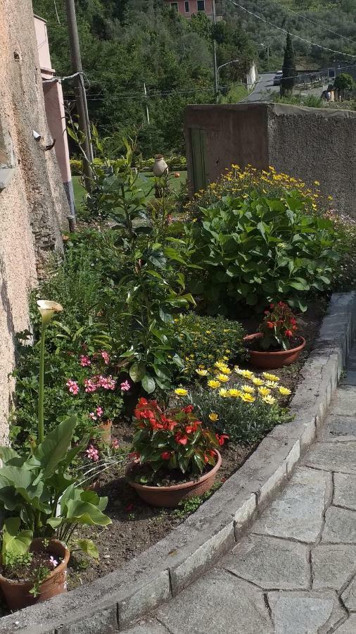 La Camera Del Mulino Λεβάντο Εξωτερικό φωτογραφία